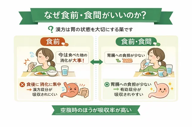 なぜ漢方は食前・食間に飲むのがよいのかを解説した図解。食後は消化が優先され漢方成分が吸収されにくく、空腹に近い状態のほうが有効成分が吸収されやすい理由をイラストで説明